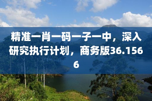 精準(zhǔn)一肖一碼一子一中，深入研究執(zhí)行計(jì)劃，商務(wù)版36.1566