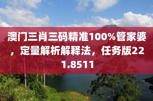 澳門(mén)三肖三碼精準(zhǔn)100%管家婆，定量解析解釋法，任務(wù)版221.8511