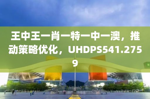 王中王一肖一特一中一澳，推動策略優(yōu)化，UHDPS541.2759