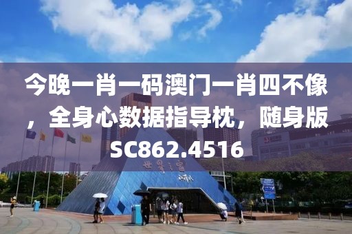 今晚一肖一碼澳門一肖四不像，全身心數(shù)據(jù)指導(dǎo)枕，隨身版SC862.4516