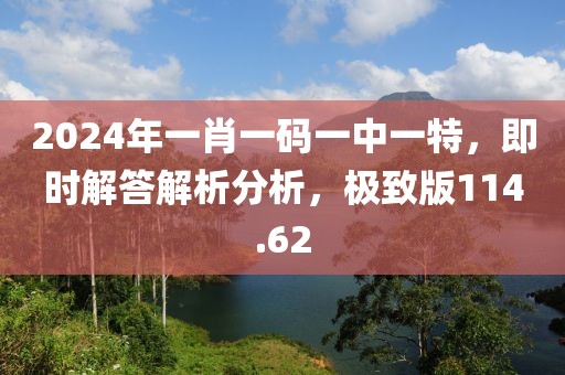 2024年一肖一碼一中一特，即時(shí)解答解析分析，極致版114.62