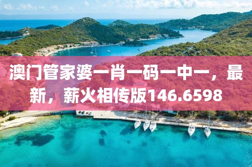 澳門管家婆一肖一碼一中一，最新，薪火相傳版146.6598