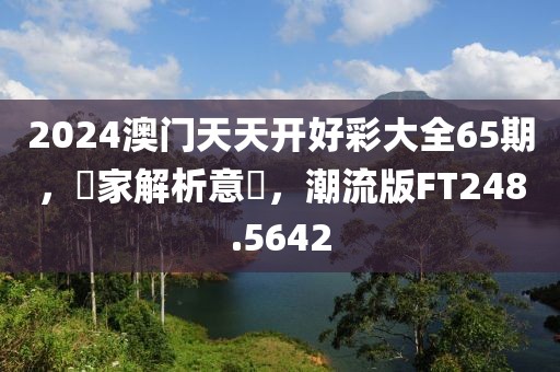 2024澳門天天開好彩大全65期，專家解析意見，潮流版FT248.5642