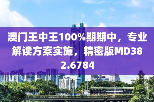 澳門王中王100%期期中，專業(yè)解讀方案實施，精密版MD382.6784