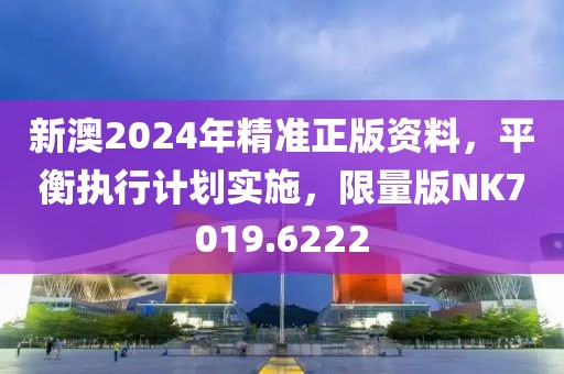 新澳2024年精準正版資料，平衡執(zhí)行計劃實施，限量版NK7019.6222