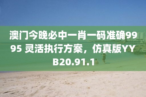 澳門今晚必中一肖一碼準(zhǔn)確9995 靈活執(zhí)行方案，仿真版YYB20.91.1