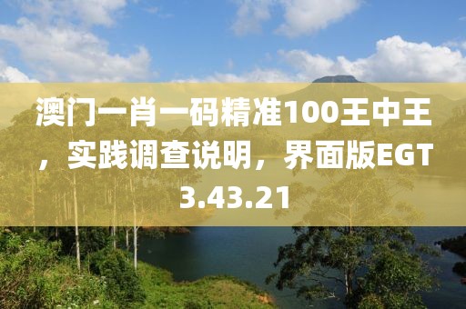 澳門一肖一碼精準(zhǔn)100王中王，實(shí)踐調(diào)查說(shuō)明，界面版EGT3.43.21