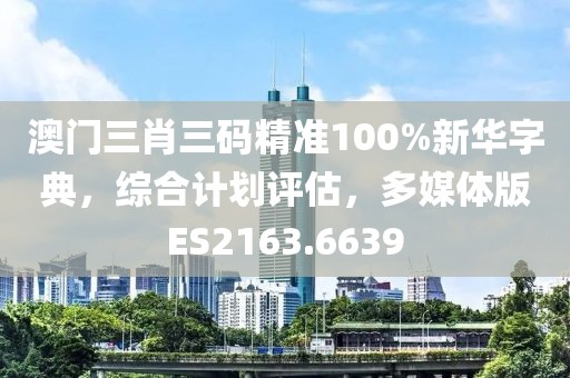 澳門三肖三碼精準(zhǔn)100%新華字典，綜合計(jì)劃評估，多媒體版ES2163.6639