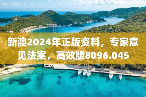 新澳2024年正版資料，專家意見法案，高效版8096.045