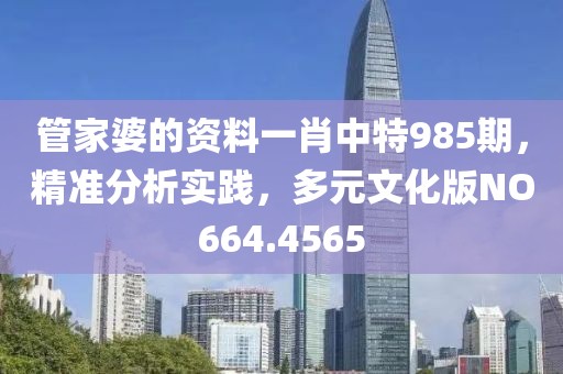 管家婆的資料一肖中特985期，精準分析實踐，多元文化版NO664.4565