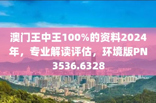 澳門王中王100%的資料2024年，專業(yè)解讀評估，環(huán)境版PN3536.6328