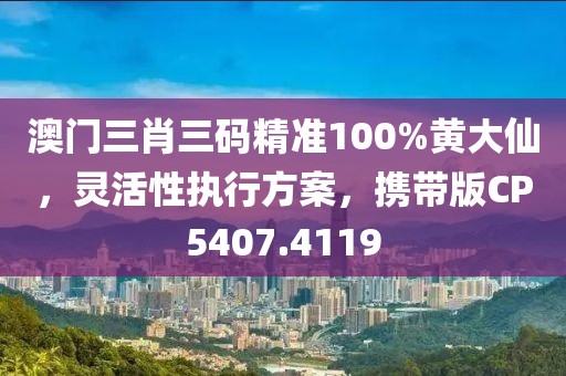 澳門三肖三碼精準100%黃大仙，靈活性執(zhí)行方案，攜帶版CP5407.4119