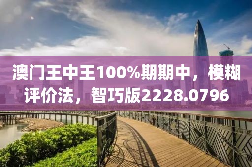 澳門王中王100%期期中，模糊評價法，智巧版2228.0796