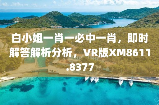 白小姐一肖一必中一肖，即時解答解析分析，VR版XM8611.8377