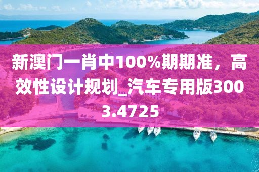 新澳門一肖中100%期期準(zhǔn)，高效性設(shè)計(jì)規(guī)劃_汽車專用版3003.4725