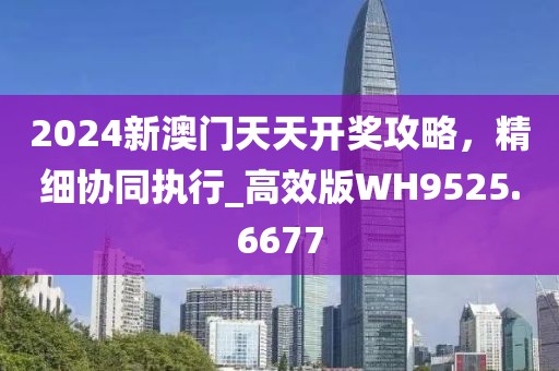 2024新澳門天天開獎(jiǎng)攻略，精細(xì)協(xié)同執(zhí)行_高效版WH9525.6677