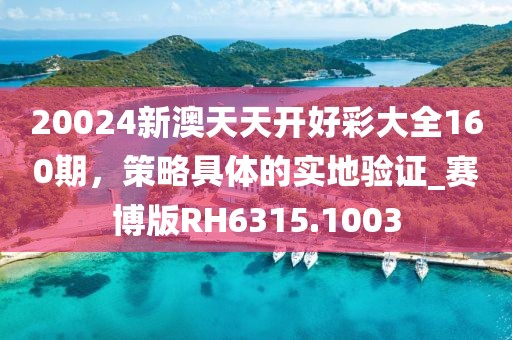 20024新澳天天開好彩大全160期，策略具體的實地驗證_賽博版RH6315.1003