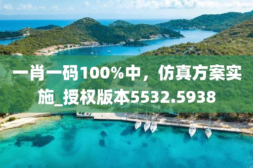 一肖一碼100%中，仿真方案實施_授權(quán)版本5532.5938