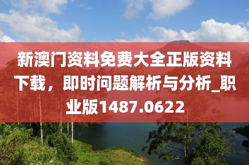 新澳門資料免費大全正版資料下載，即時問題解析與分析_職業(yè)版1487.0622