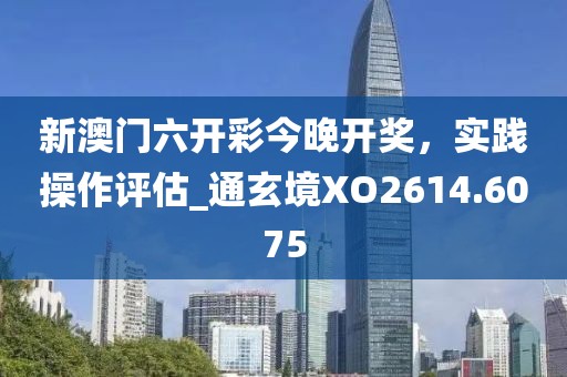 新澳門六開彩今晚開獎，實踐操作評估_通玄境XO2614.6075