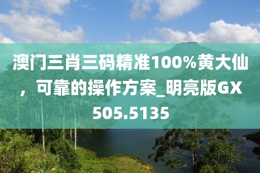 澳門三肖三碼精準(zhǔn)100%黃大仙，可靠的操作方案_明亮版GX505.5135