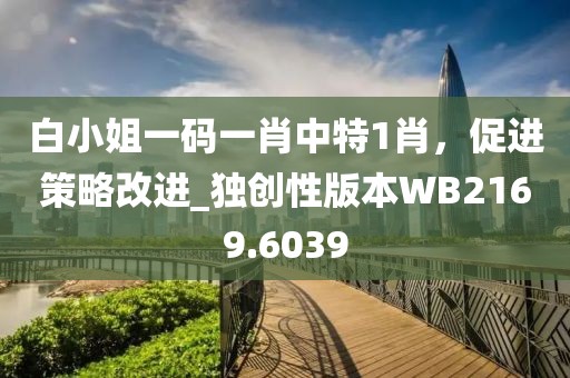 白小姐一碼一肖中特1肖，促進(jìn)策略改進(jìn)_獨(dú)創(chuàng)性版本W(wǎng)B2169.6039