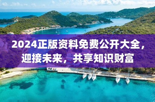 2024正版資料免費(fèi)公開(kāi)大全，迎接未來(lái)，共享知識(shí)財(cái)富