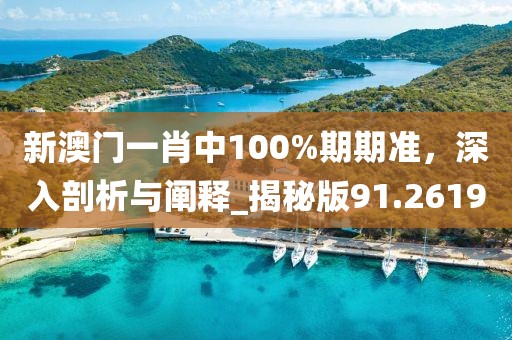 新澳門一肖中100%期期準，深入剖析與闡釋_揭秘版91.2619