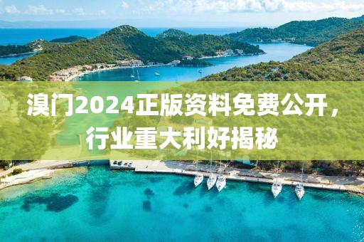 溴門2024正版資料免費(fèi)公開，行業(yè)重大利好揭秘