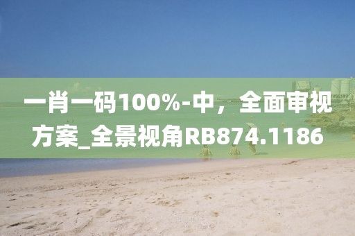 一肖一碼100%-中，全面審視方案_全景視角RB874.1186