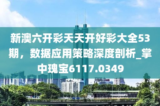 新澳六開彩天天開好彩大全53期，數(shù)據(jù)應(yīng)用策略深度剖析_掌中瑰寶6117.0349