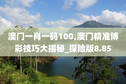 澳門一肖一碼100,澳門精準(zhǔn)博彩技巧大揭秘_探險版8.85