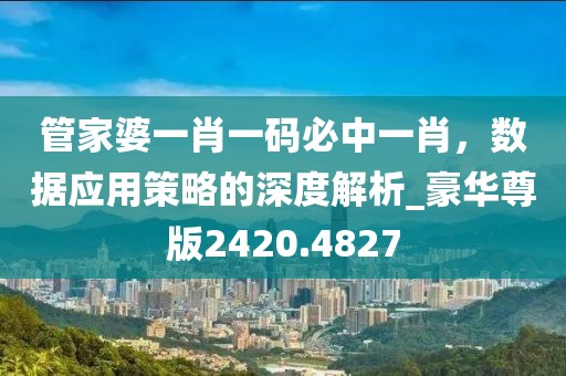 管家婆一肖一碼必中一肖，數(shù)據(jù)應(yīng)用策略的深度解析_豪華尊版2420.4827