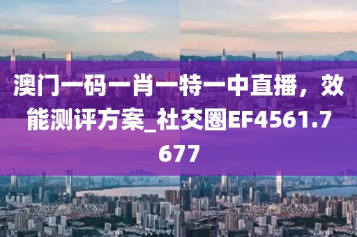 澳門一碼一肖一特一中直播，效能測評方案_社交圈EF4561.7677