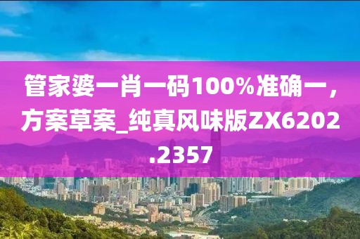 管家婆一肖一碼100%準確一，方案草案_純真風味版ZX6202.2357