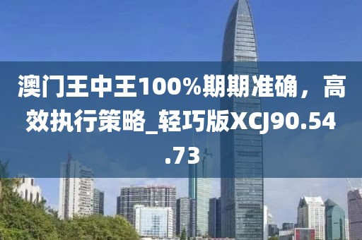 澳門王中王100%期期準(zhǔn)確，高效執(zhí)行策略_輕巧版XCJ90.54.73