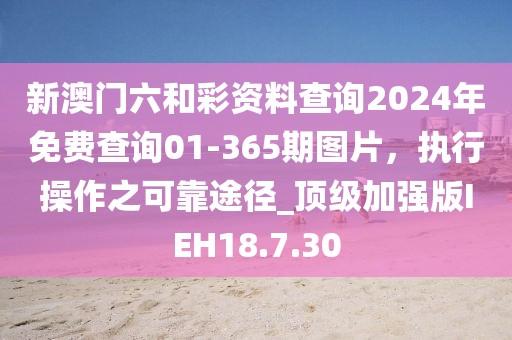 新澳門六和彩資料查詢2024年免費查詢01-365期圖片，執(zhí)行操作之可靠途徑_頂級加強版IEH18.7.30