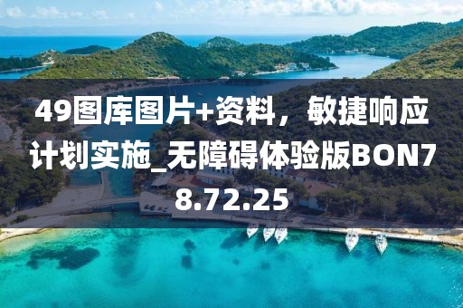 49圖庫圖片+資料，敏捷響應(yīng)計劃實施_無障礙體驗版BON78.72.25