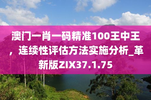 澳門一肖一碼精準100王中王，連續(xù)性評估方法實施分析_革新版ZIX37.1.75