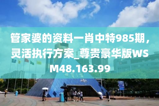 管家婆的資料一肖中特985期，靈活執(zhí)行方案_尊貴豪華版WSM48.163.99