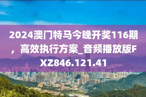 2024澳門特馬今晚開獎(jiǎng)116期，高效執(zhí)行方案_音頻播放版FXZ846.121.41