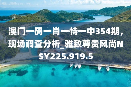 澳門一碼一肖一恃一中354期，現(xiàn)場調(diào)查分析_雅致尊貴風(fēng)尚NSY225.919.5