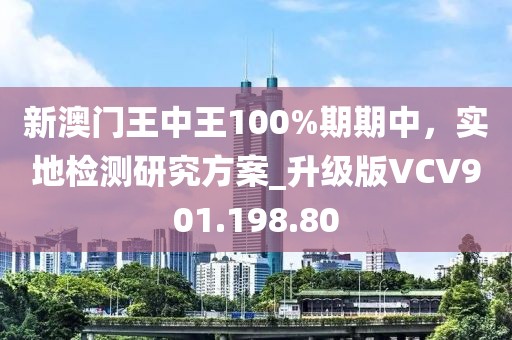 新澳門王中王100%期期中，實(shí)地檢測(cè)研究方案_升級(jí)版VCV901.198.80