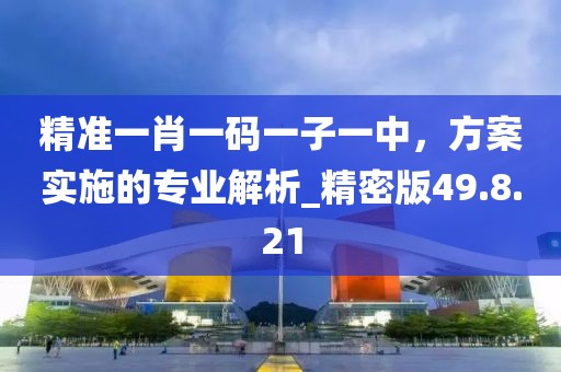 精準(zhǔn)一肖一碼一子一中，方案實(shí)施的專業(yè)解析_精密版49.8.21