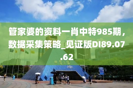 管家婆的資料一肖中特985期，數(shù)據(jù)采集策略_見證版DI89.07.62