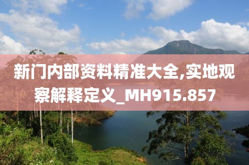 新門內部資料精準大全,實地觀察解釋定義_MH915.857