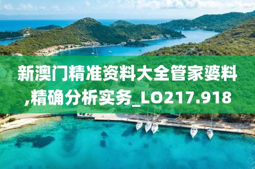 新澳門精準資料大全管家婆料,精確分析實務_LO217.918