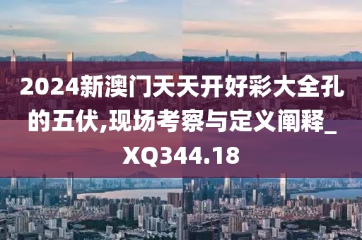 2024新澳門天天開好彩大全孔的五伏,現(xiàn)場考察與定義闡釋_XQ344.18