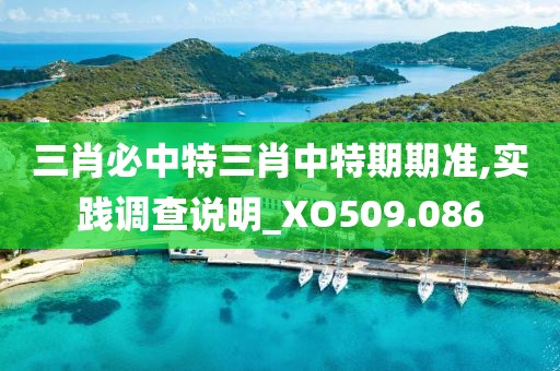 三肖必中特三肖中特期期準(zhǔn),實(shí)踐調(diào)查說明_XO509.086