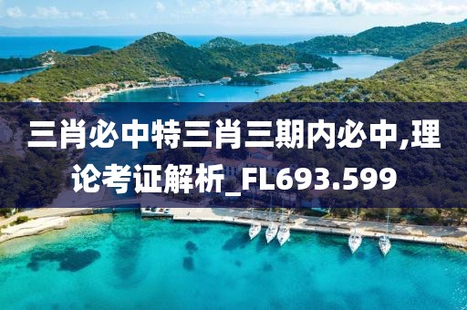 三肖必中特三肖三期內(nèi)必中,理論考證解析_FL693.599